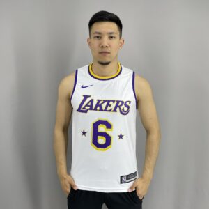Джерси Lakers James 6